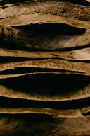 Capas de corteza vegetal que evocan la estructura y protección natural de la piel